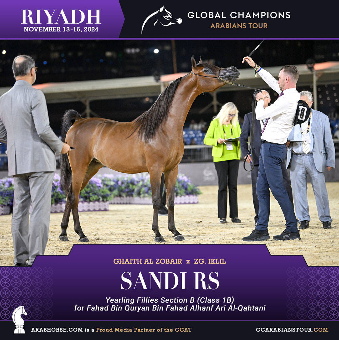 DAY 1: A SPECTACULAR START TO THE GCAT RIYADH FINALE