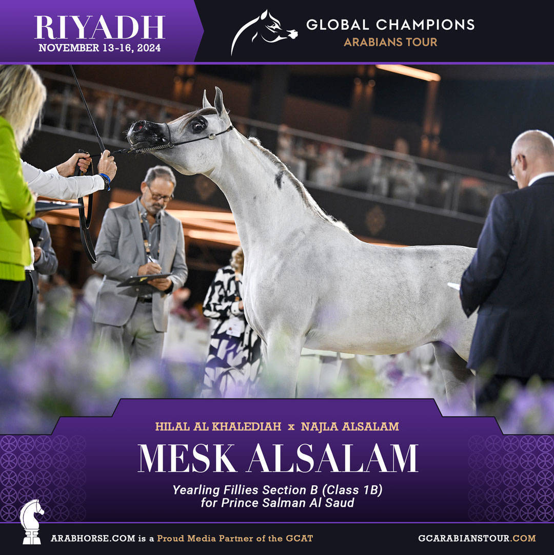 DAY 1: A SPECTACULAR START TO THE GCAT RIYADH FINALE