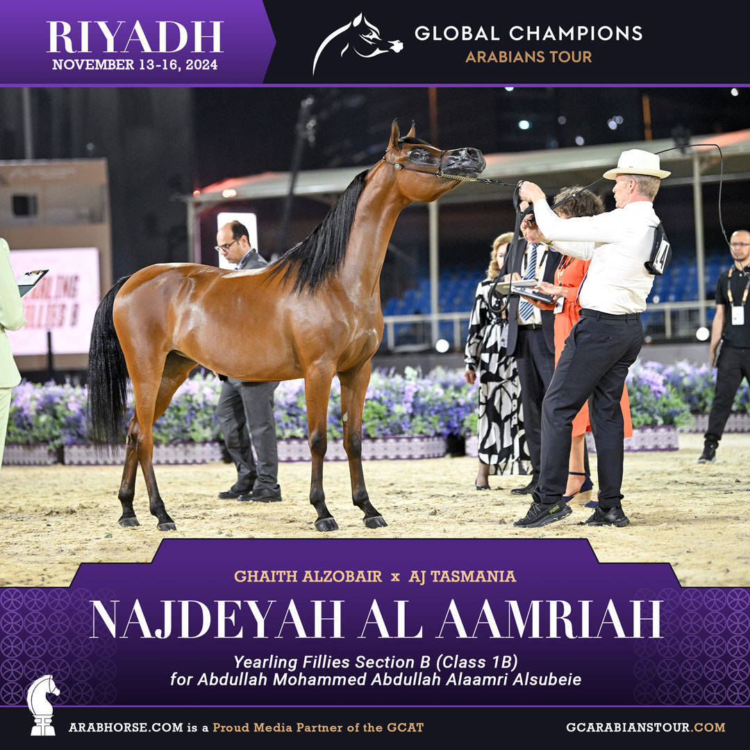 DAY 1: A SPECTACULAR START TO THE GCAT RIYADH FINALE