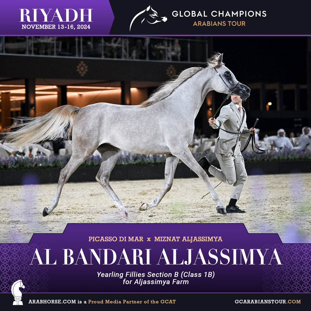 DAY 1: A SPECTACULAR START TO THE GCAT RIYADH FINALE