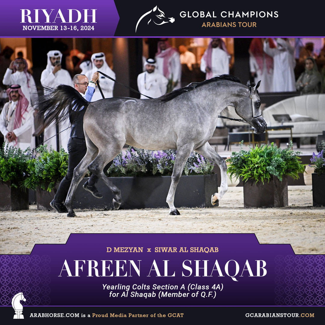 DAY 1: A SPECTACULAR START TO THE GCAT RIYADH FINALE