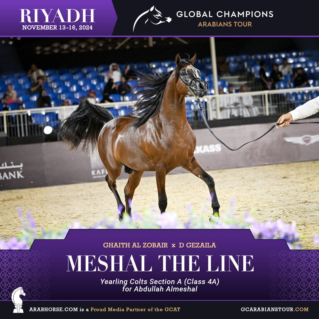 DAY 1: A SPECTACULAR START TO THE GCAT RIYADH FINALE