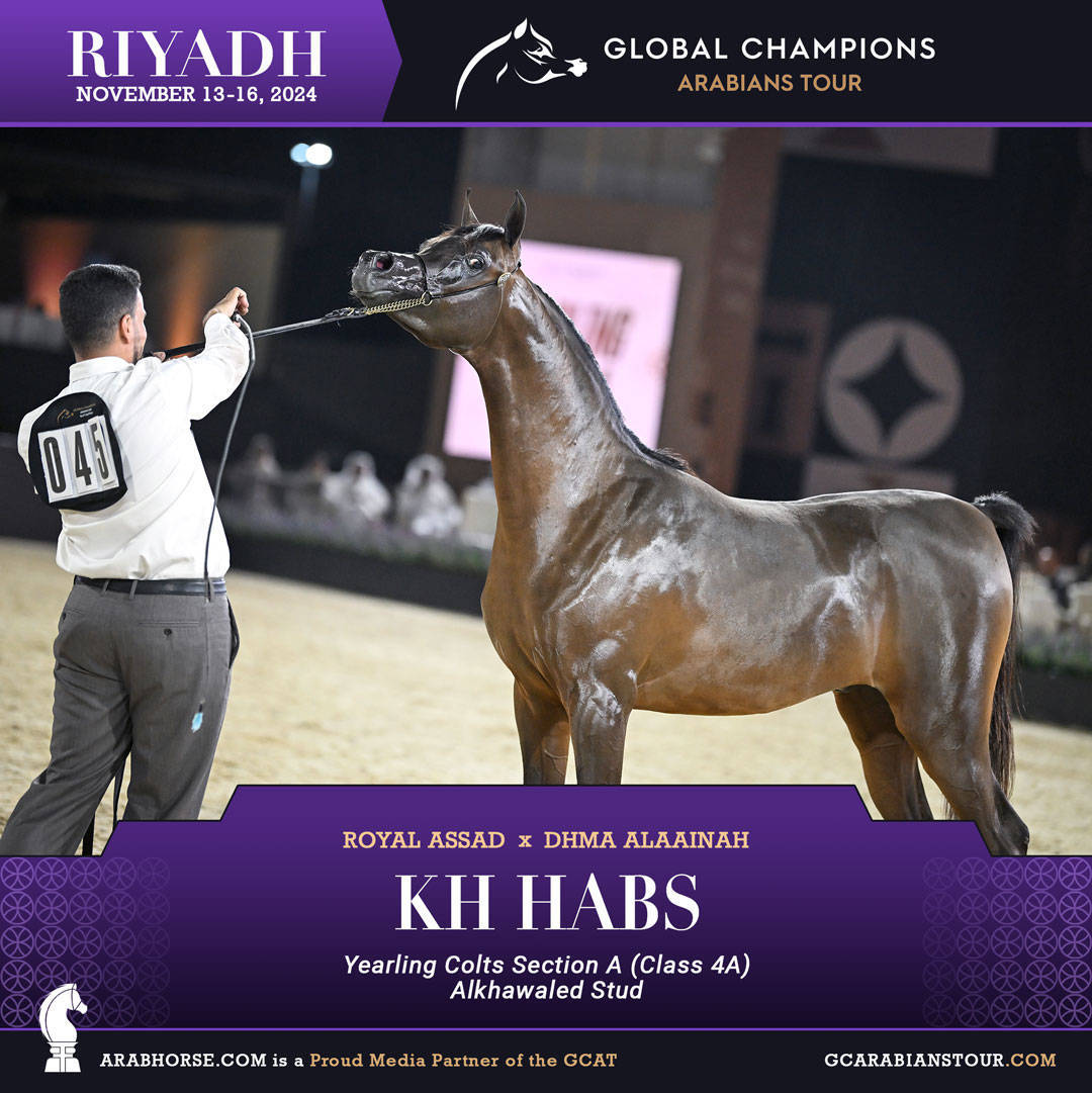 DAY 1: A SPECTACULAR START TO THE GCAT RIYADH FINALE