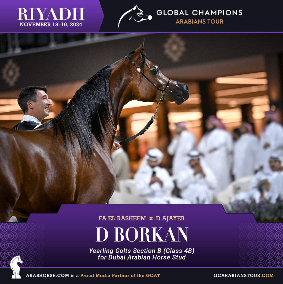 DAY 1: A SPECTACULAR START TO THE GCAT RIYADH FINALE