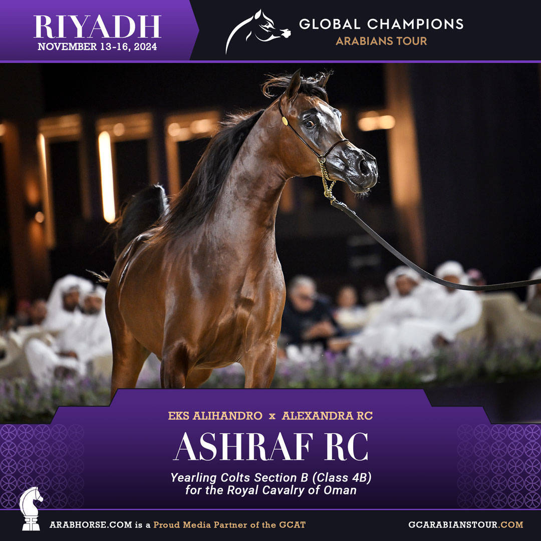 DAY 1: A SPECTACULAR START TO THE GCAT RIYADH FINALE