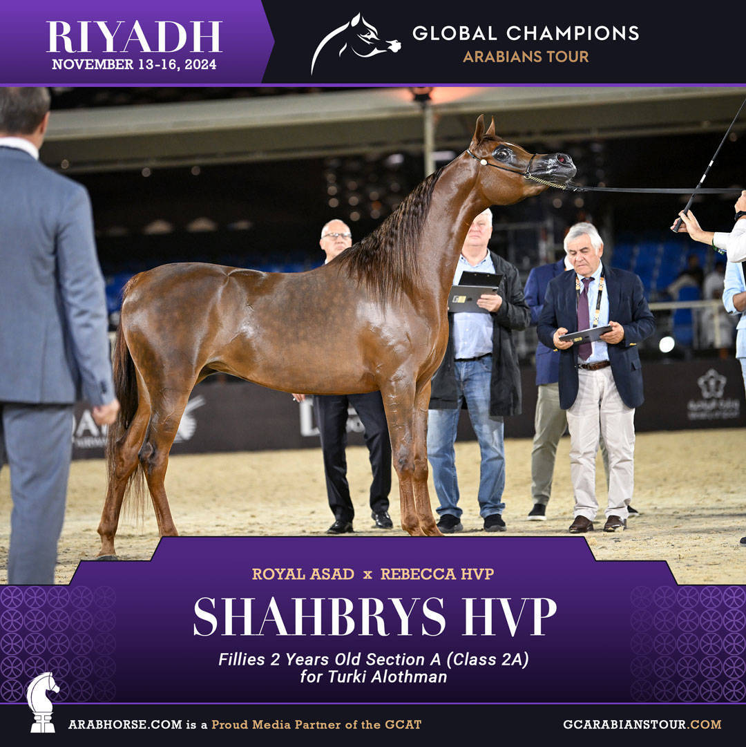 DAY 1: A SPECTACULAR START TO THE GCAT RIYADH FINALE