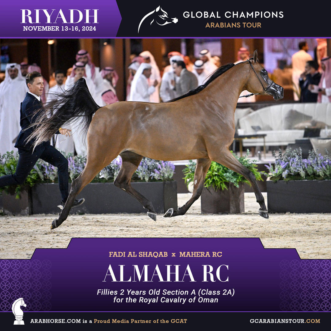 DAY 1: A SPECTACULAR START TO THE GCAT RIYADH FINALE