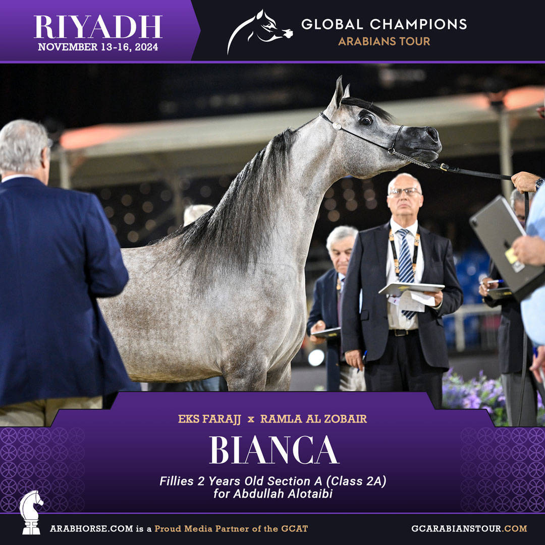 DAY 1: A SPECTACULAR START TO THE GCAT RIYADH FINALE