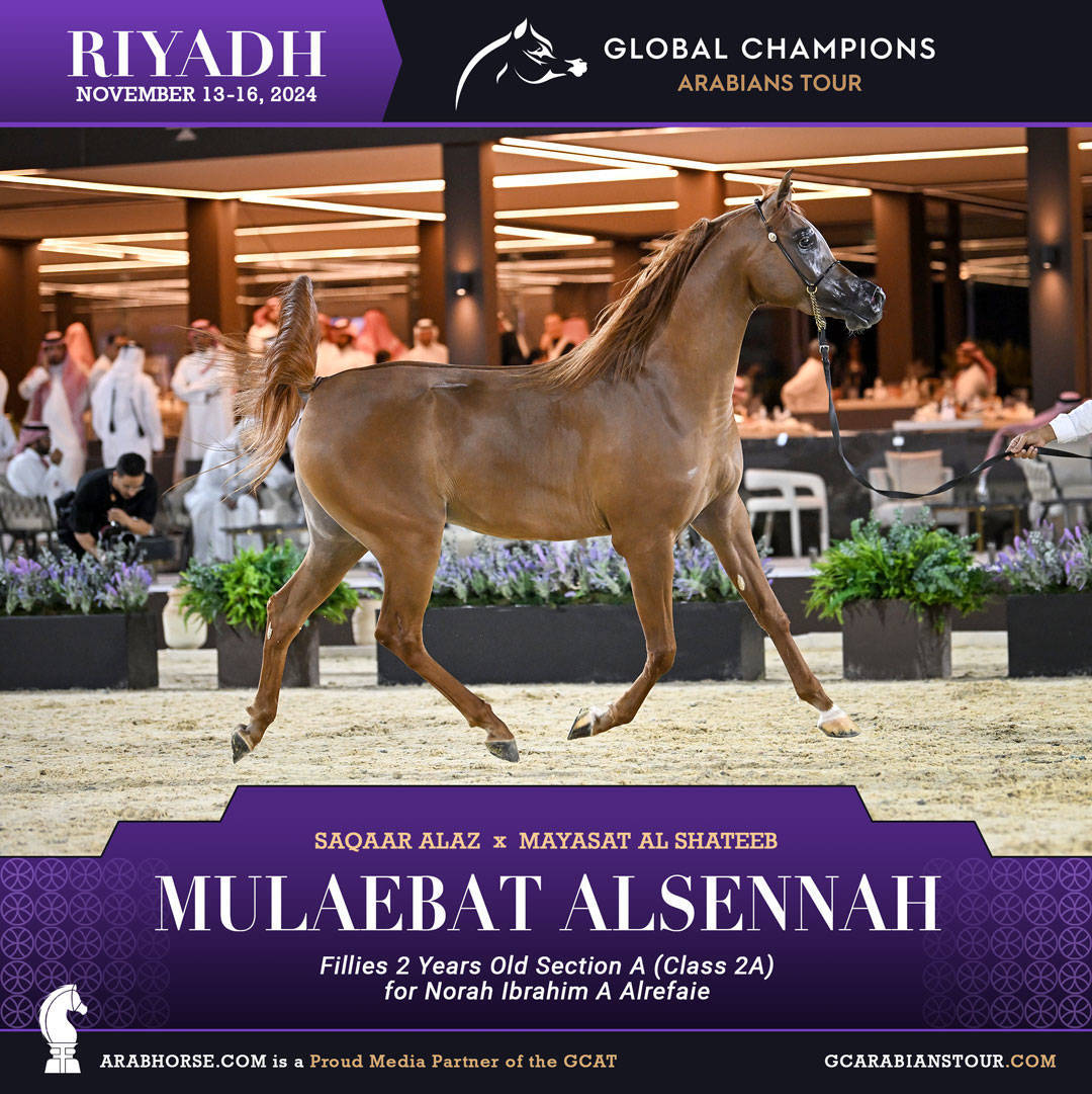 DAY 1: A SPECTACULAR START TO THE GCAT RIYADH FINALE