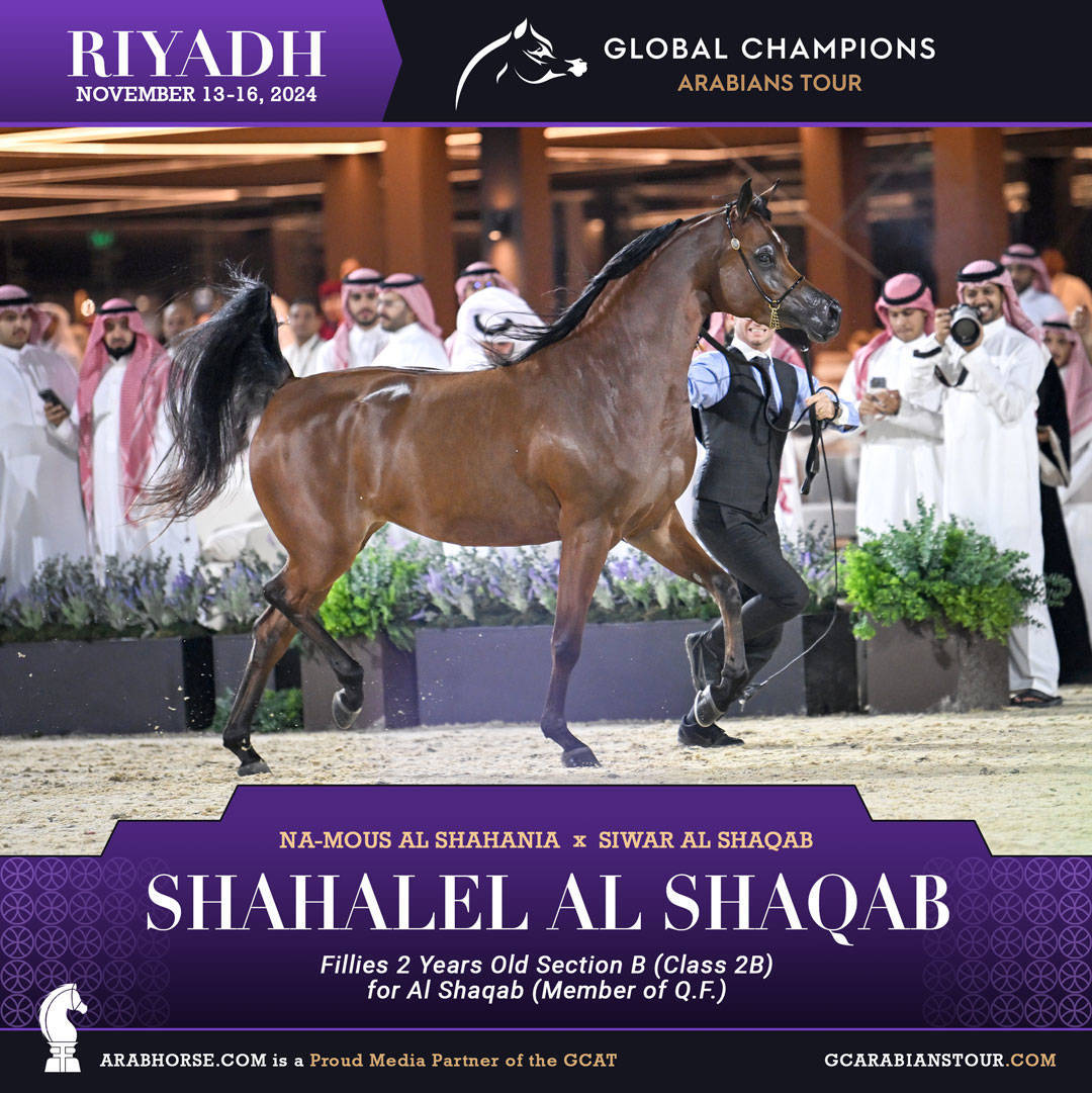 DAY 1: A SPECTACULAR START TO THE GCAT RIYADH FINALE