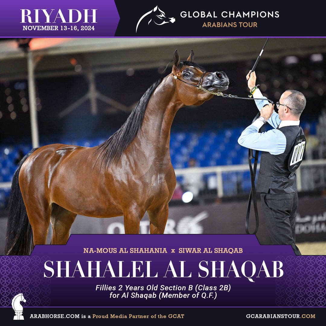 DAY 1: A SPECTACULAR START TO THE GCAT RIYADH FINALE