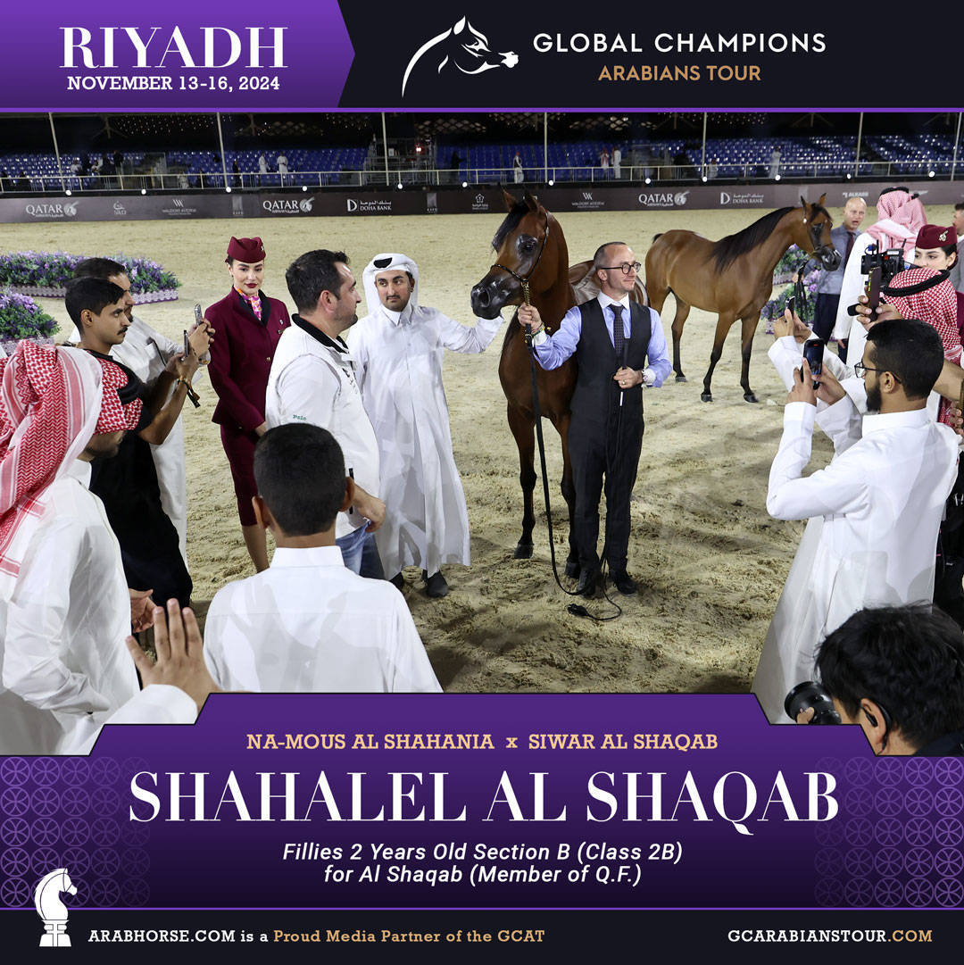 DAY 1: A SPECTACULAR START TO THE GCAT RIYADH FINALE