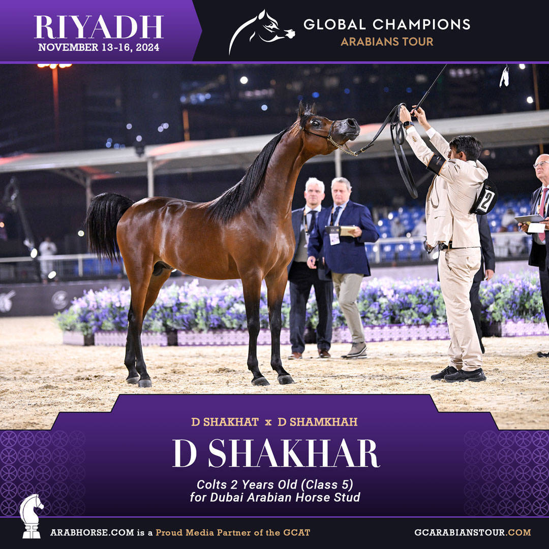 DAY 2: RISING STARS AND STUNNING JUNIORS