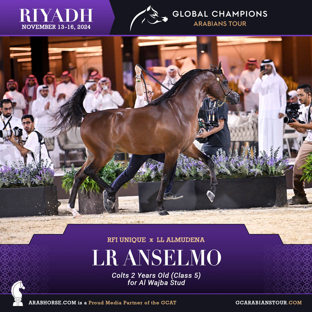 DAY 2: RISING STARS AND STUNNING JUNIORS