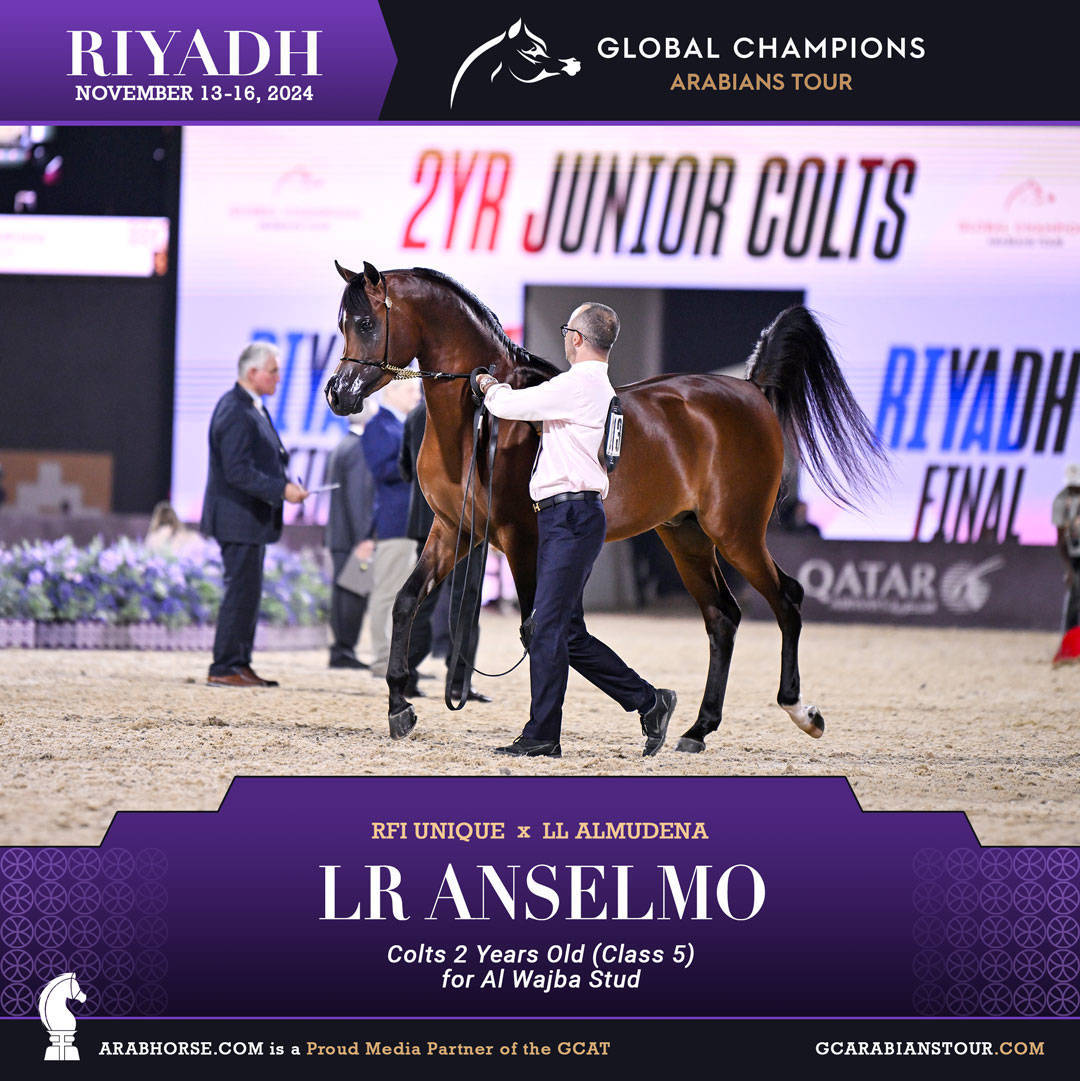 DAY 2: RISING STARS AND STUNNING JUNIORS