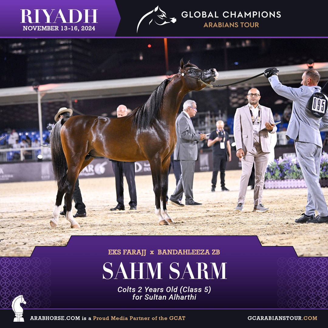 DAY 2: RISING STARS AND STUNNING JUNIORS