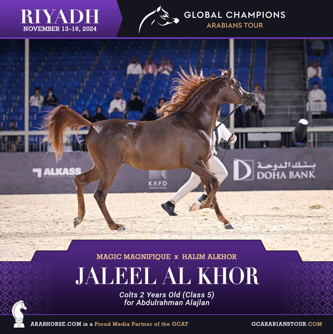 DAY 2: RISING STARS AND STUNNING JUNIORS