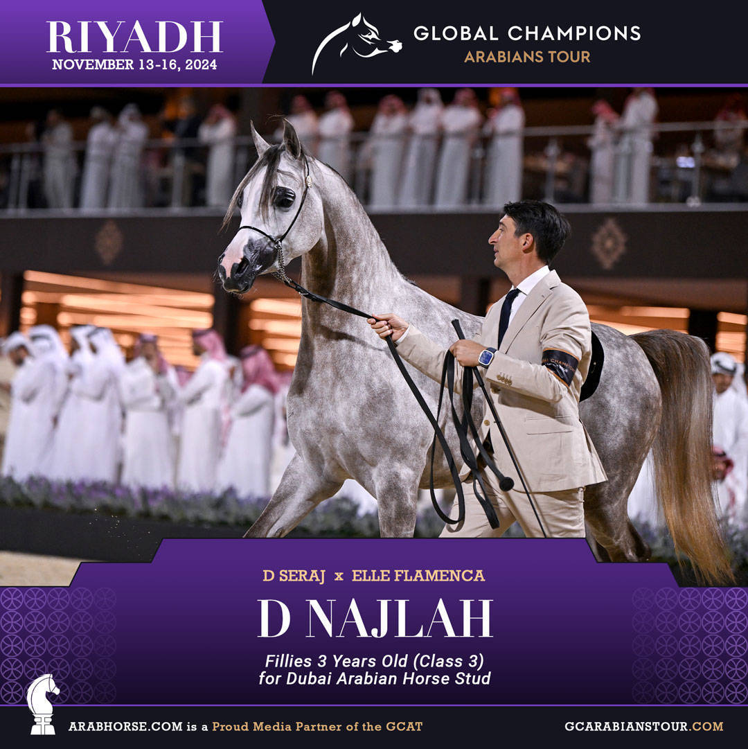 DAY 2: RISING STARS AND STUNNING JUNIORS