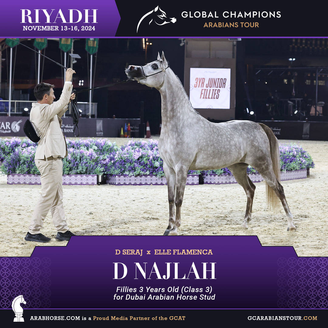 DAY 2: RISING STARS AND STUNNING JUNIORS