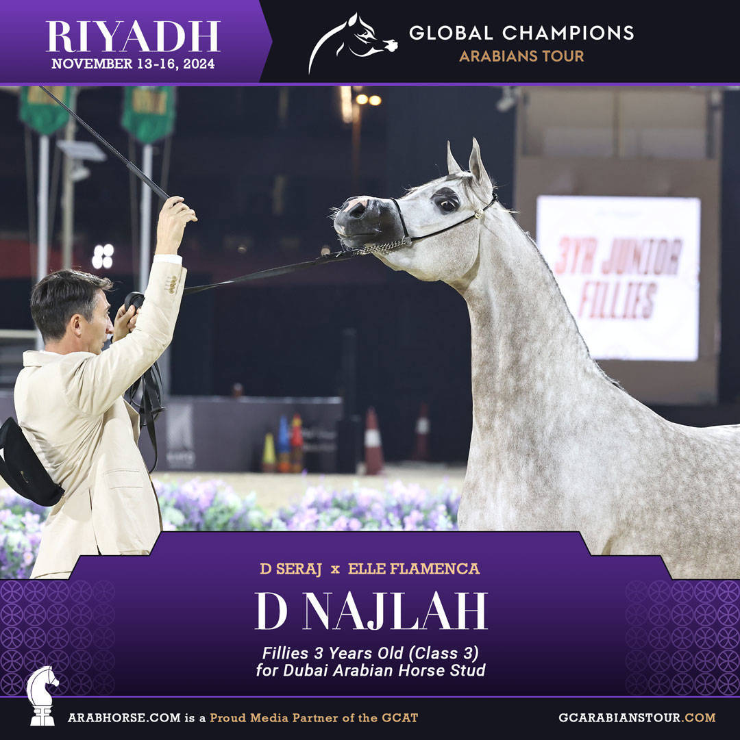 DAY 2: RISING STARS AND STUNNING JUNIORS