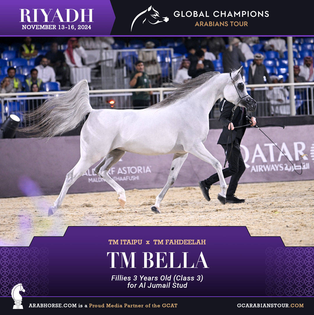 DAY 2: RISING STARS AND STUNNING JUNIORS