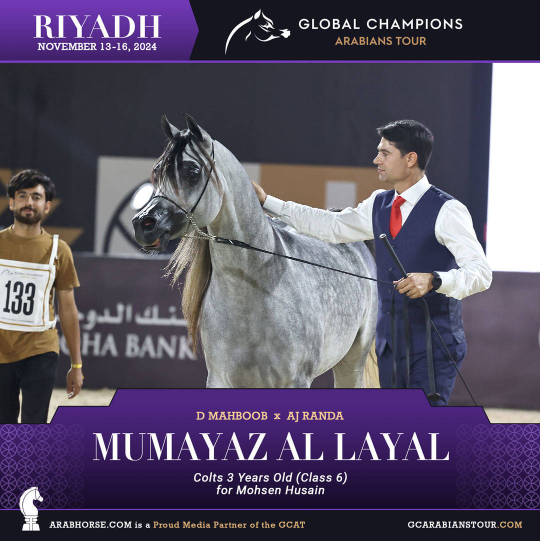 DAY 2: RISING STARS AND STUNNING JUNIORS