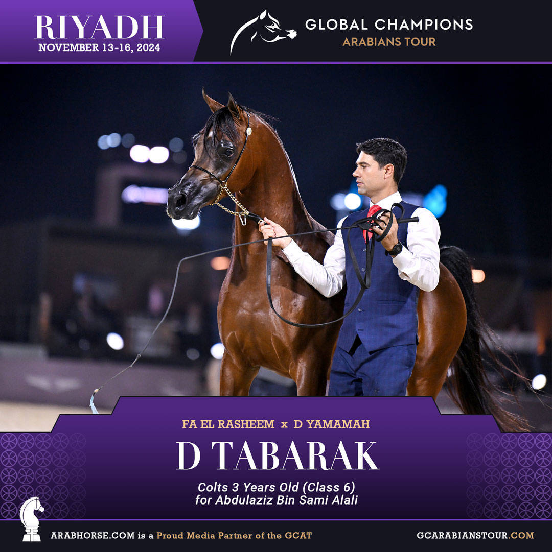 DAY 2: RISING STARS AND STUNNING JUNIORS