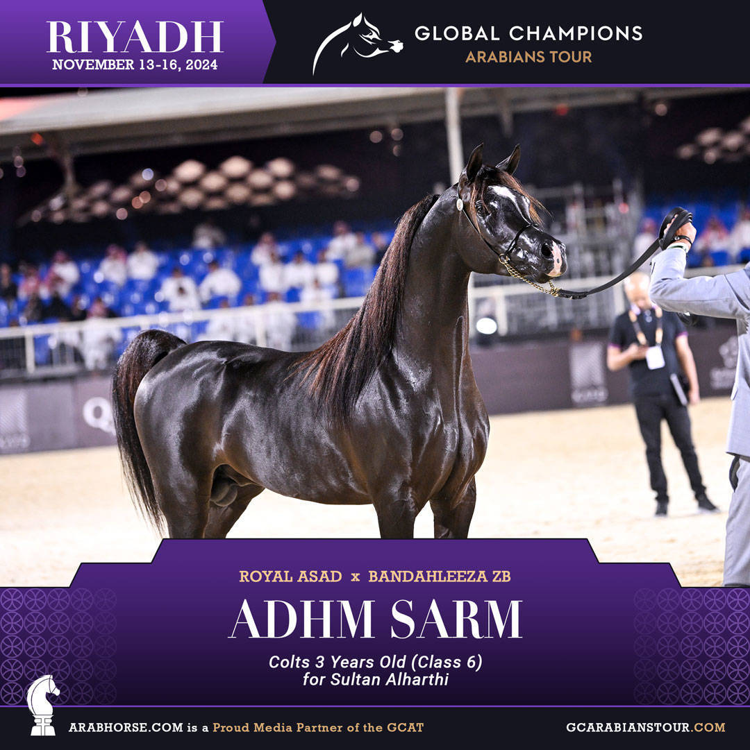 DAY 2: RISING STARS AND STUNNING JUNIORS