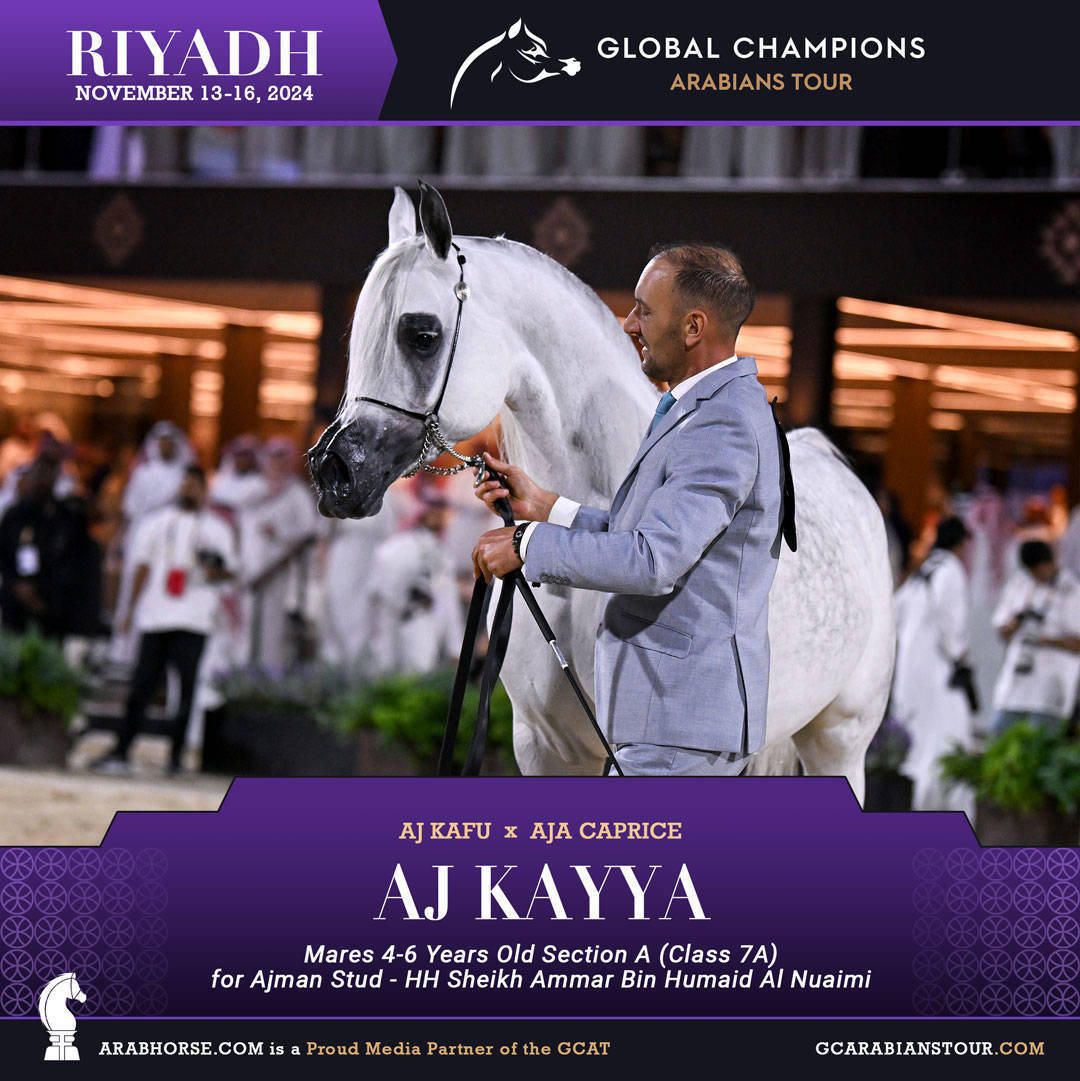 DAY 2: RISING STARS AND STUNNING JUNIORS