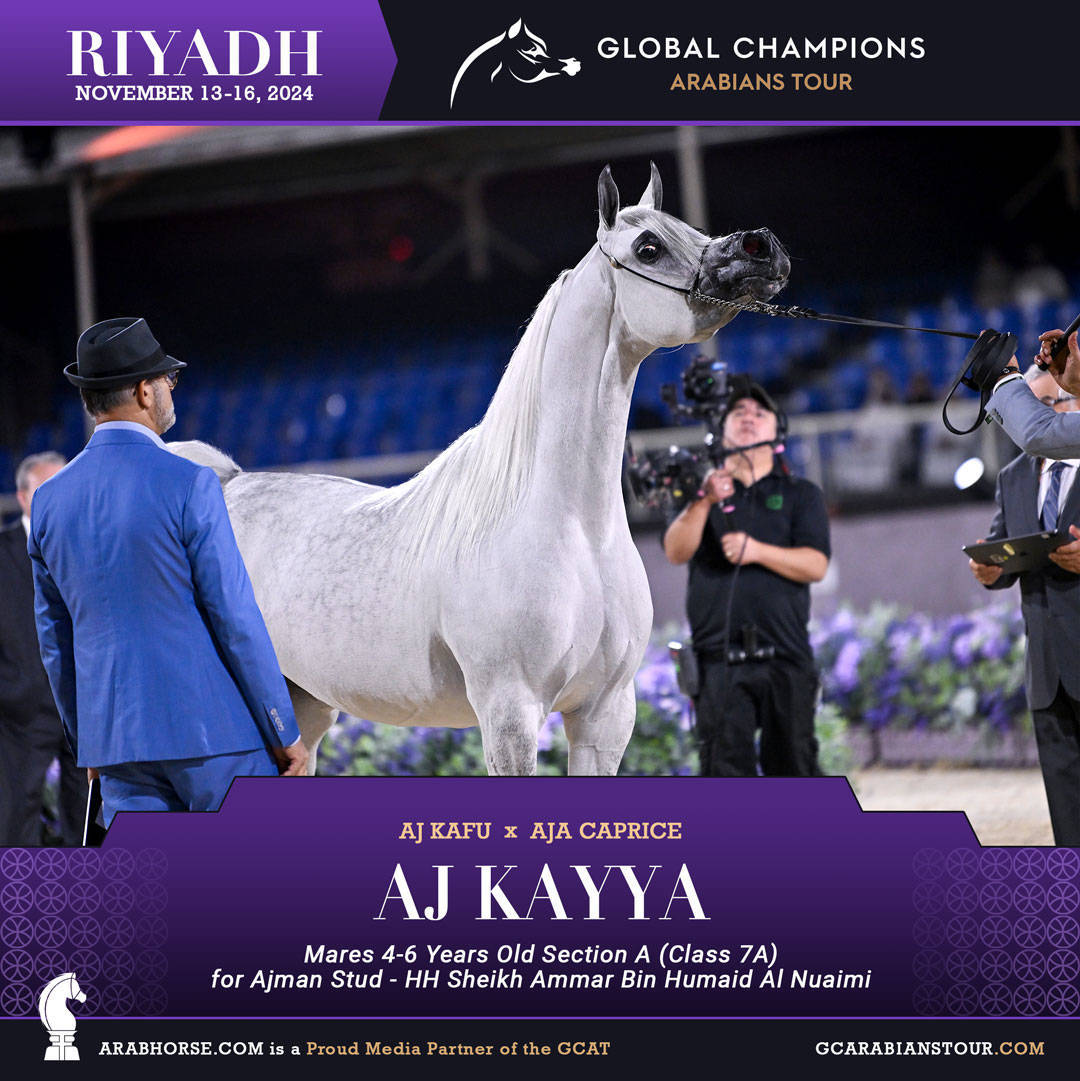 DAY 2: RISING STARS AND STUNNING JUNIORS