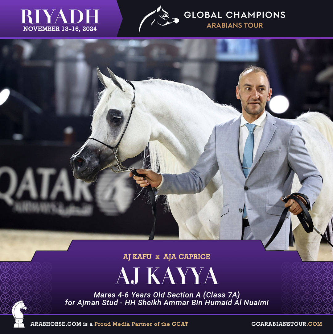 DAY 2: RISING STARS AND STUNNING JUNIORS