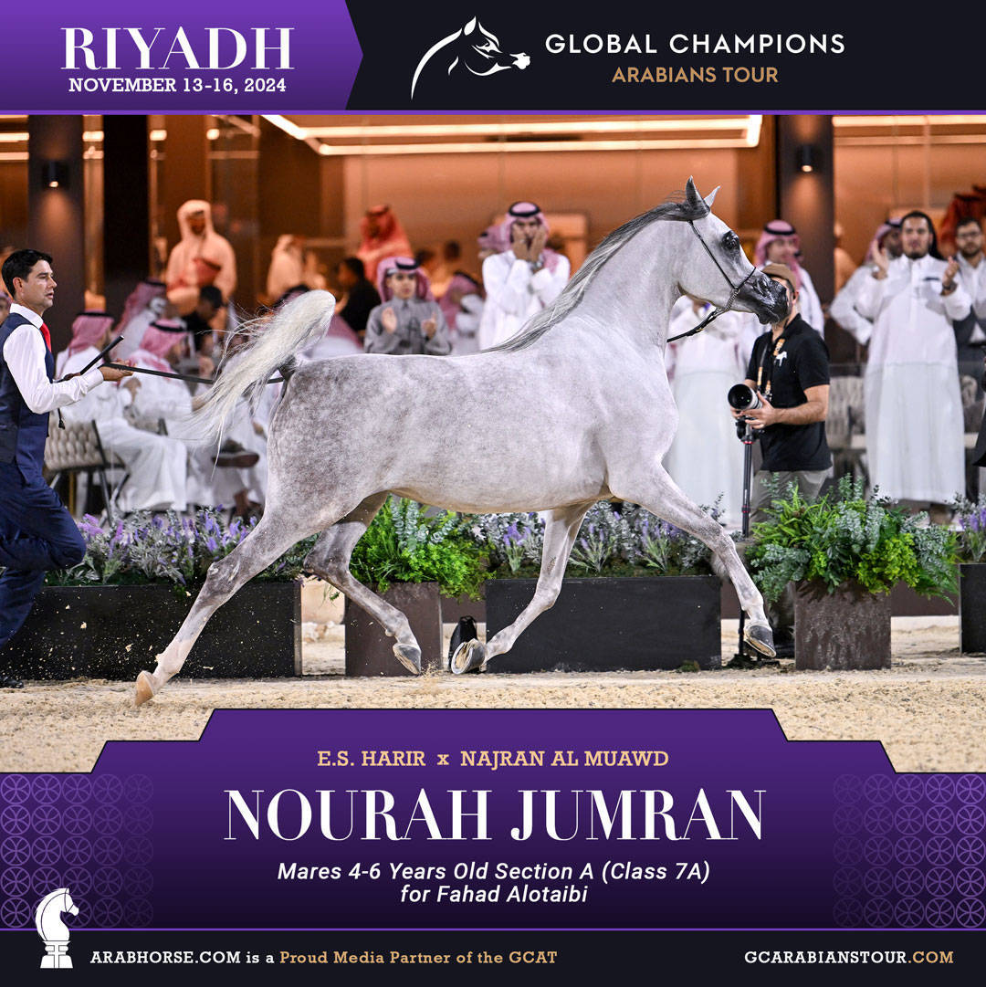 DAY 2: RISING STARS AND STUNNING JUNIORS