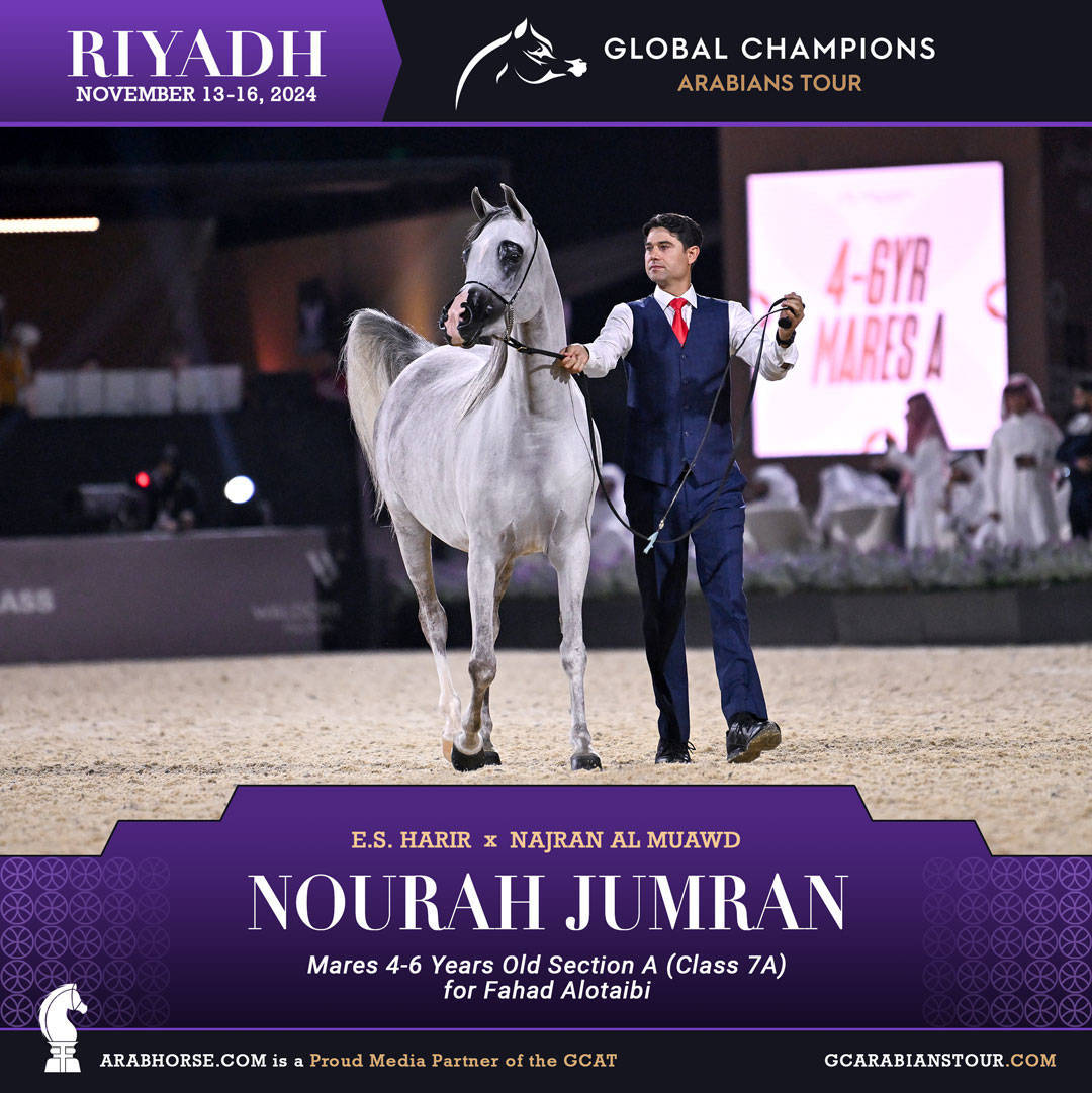 DAY 2: RISING STARS AND STUNNING JUNIORS