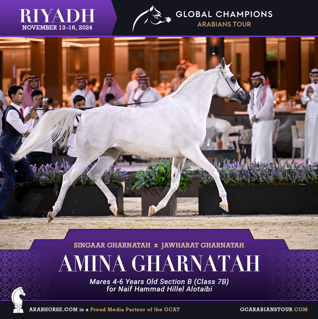 DAY 2: RISING STARS AND STUNNING JUNIORS