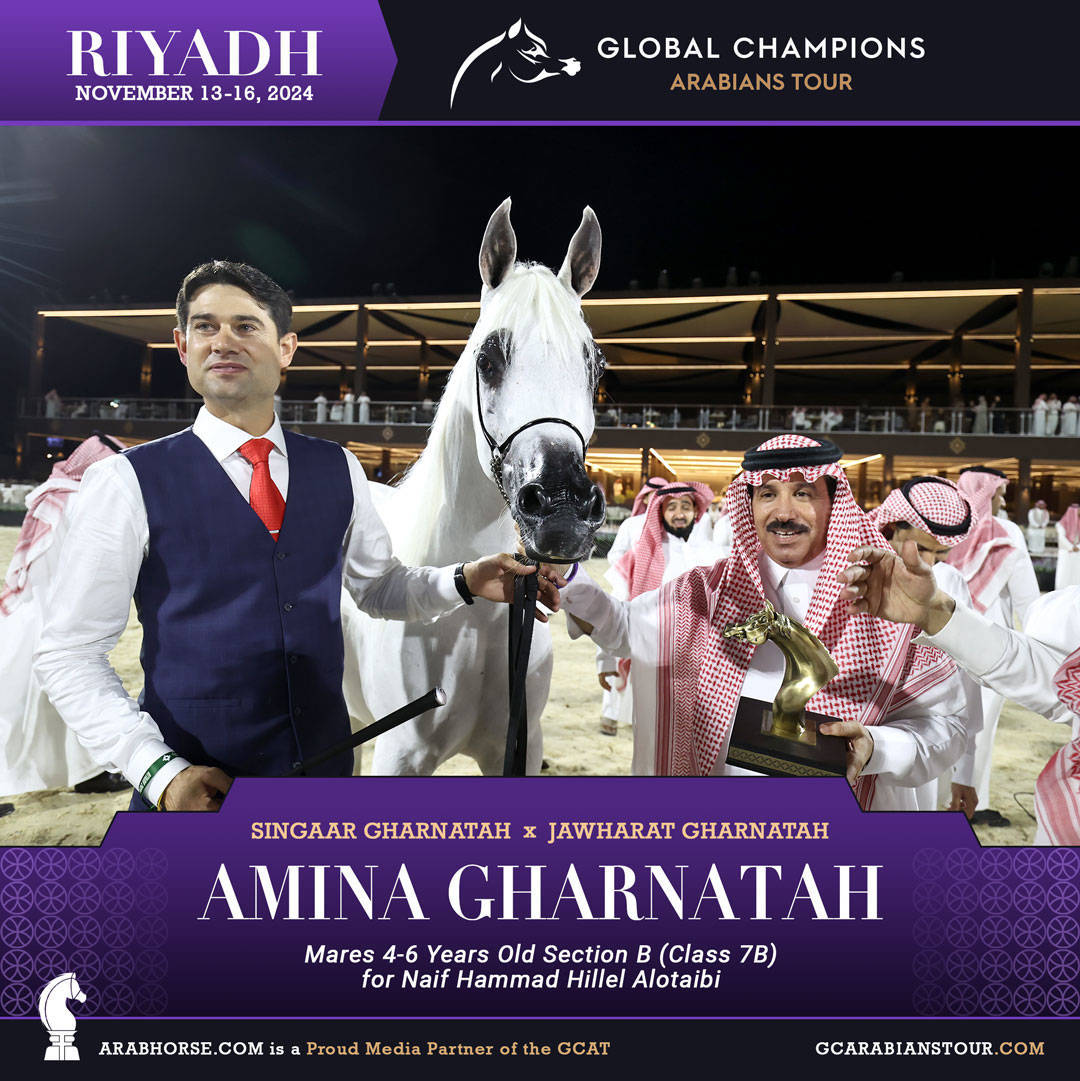 DAY 2: RISING STARS AND STUNNING JUNIORS