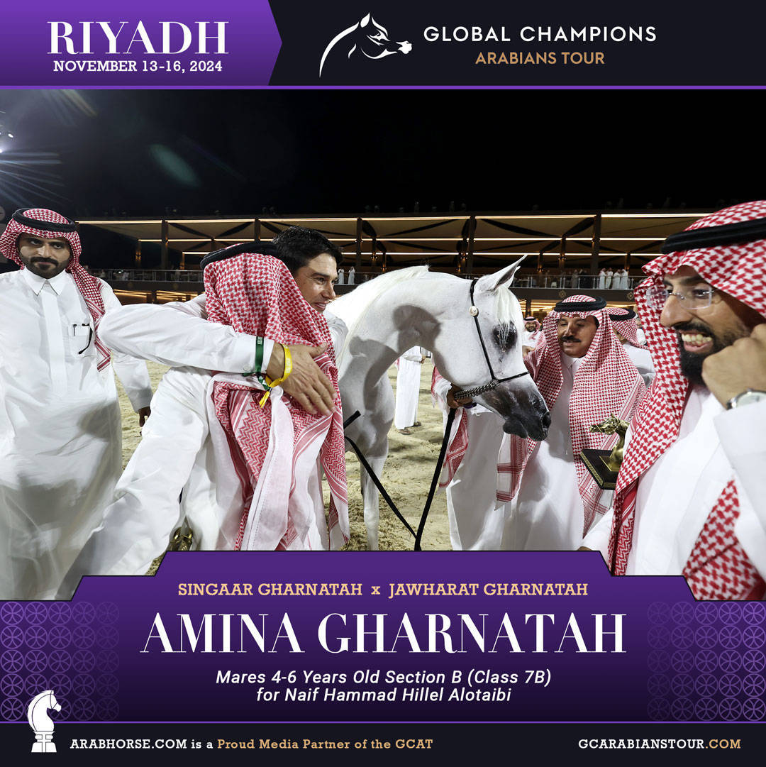 DAY 2: RISING STARS AND STUNNING JUNIORS