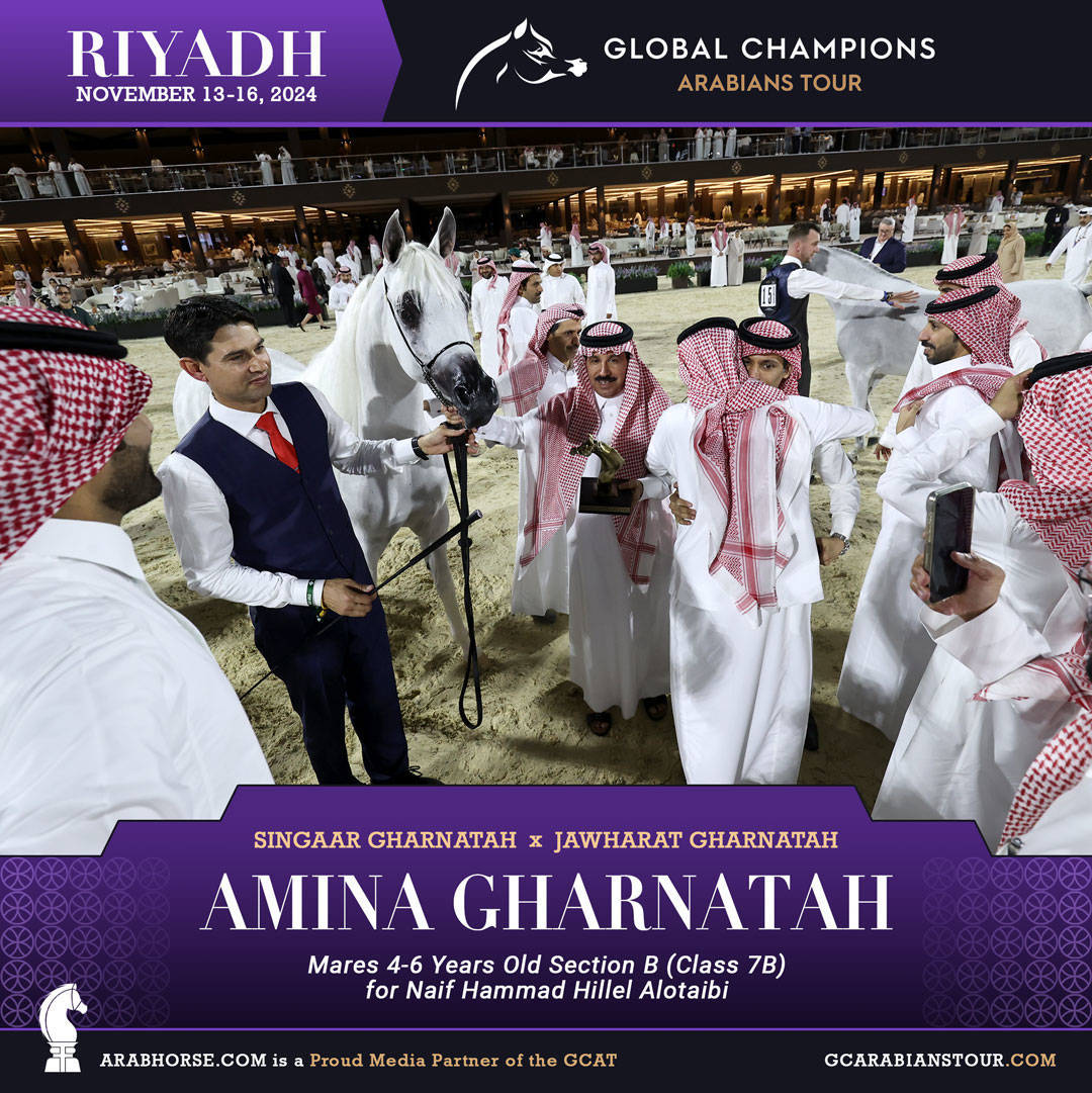 DAY 2: RISING STARS AND STUNNING JUNIORS