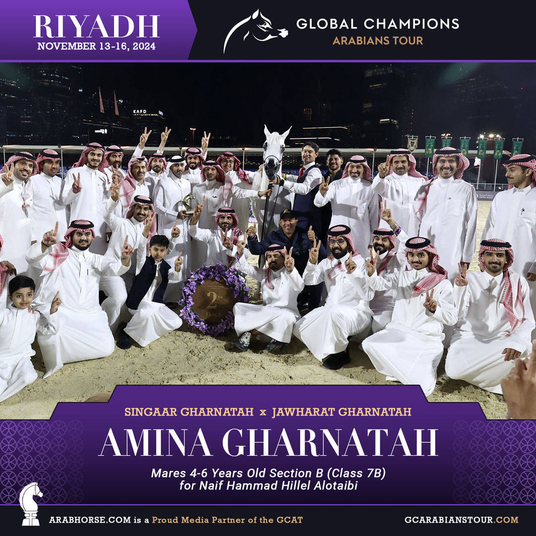 DAY 2: RISING STARS AND STUNNING JUNIORS