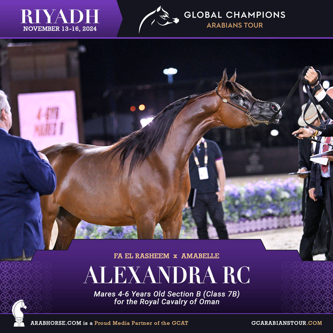 DAY 2: RISING STARS AND STUNNING JUNIORS