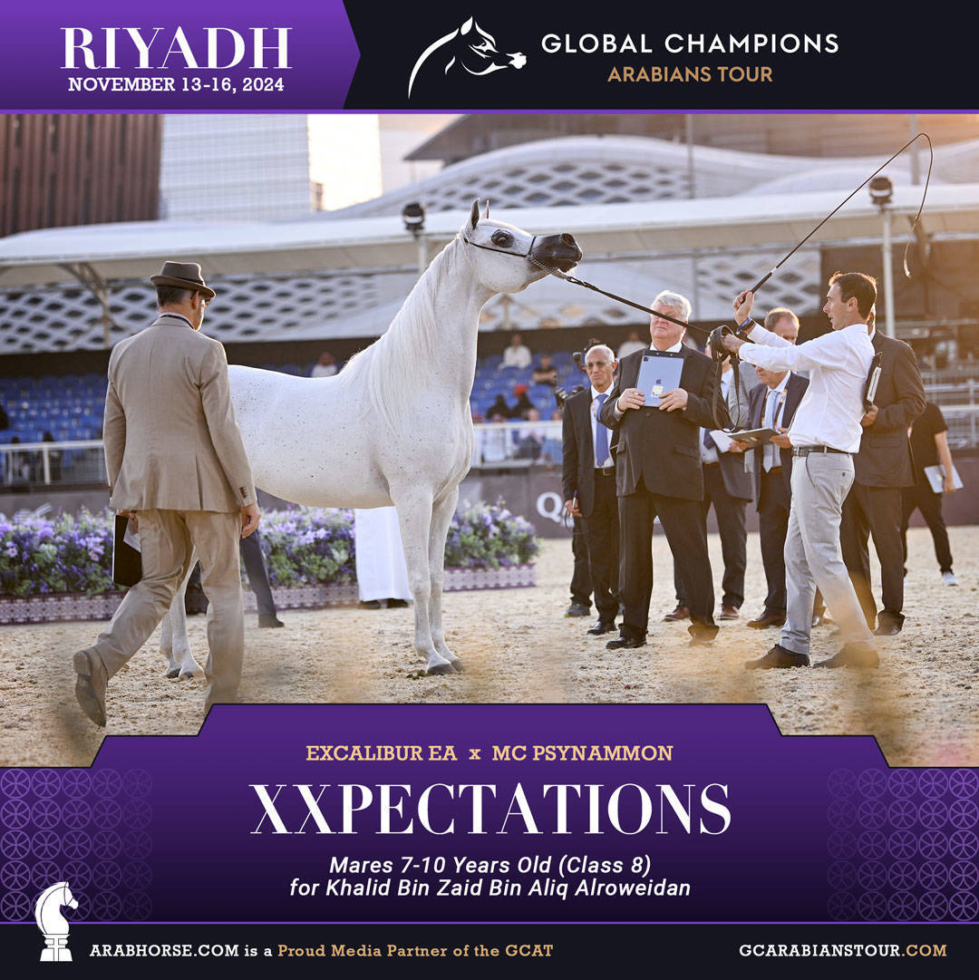 DAY 3: MARVELLOUS MARES AND STELLAR STALLIONS