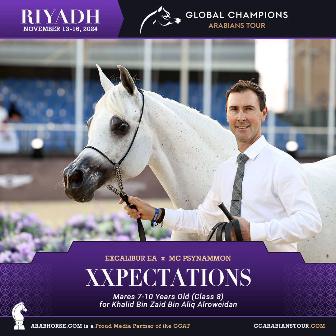 DAY 3: MARVELLOUS MARES AND STELLAR STALLIONS