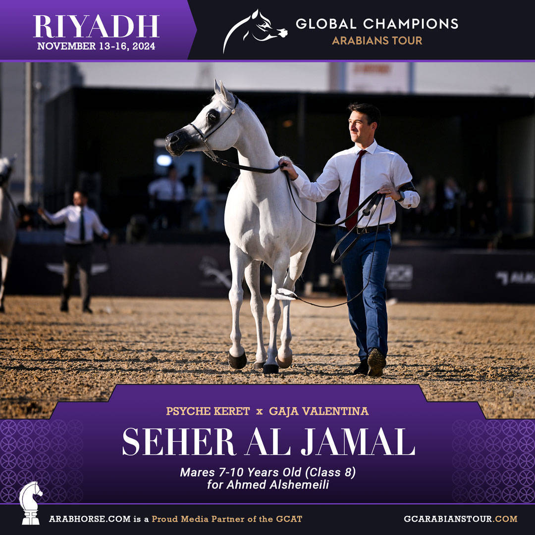 DAY 3: MARVELLOUS MARES AND STELLAR STALLIONS