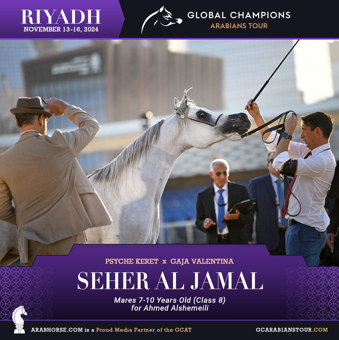 DAY 3: MARVELLOUS MARES AND STELLAR STALLIONS