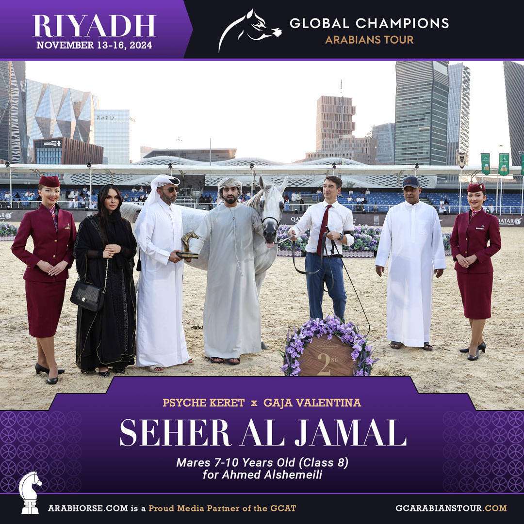 DAY 3: MARVELLOUS MARES AND STELLAR STALLIONS