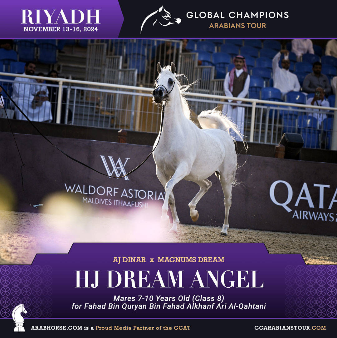 DAY 3: MARVELLOUS MARES AND STELLAR STALLIONS