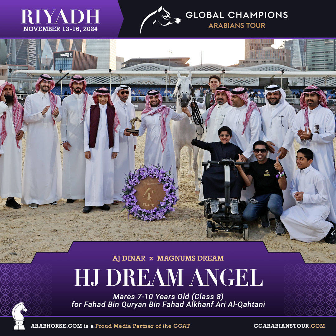 DAY 3: MARVELLOUS MARES AND STELLAR STALLIONS