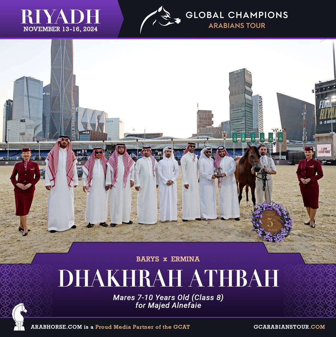 DAY 3: MARVELLOUS MARES AND STELLAR STALLIONS