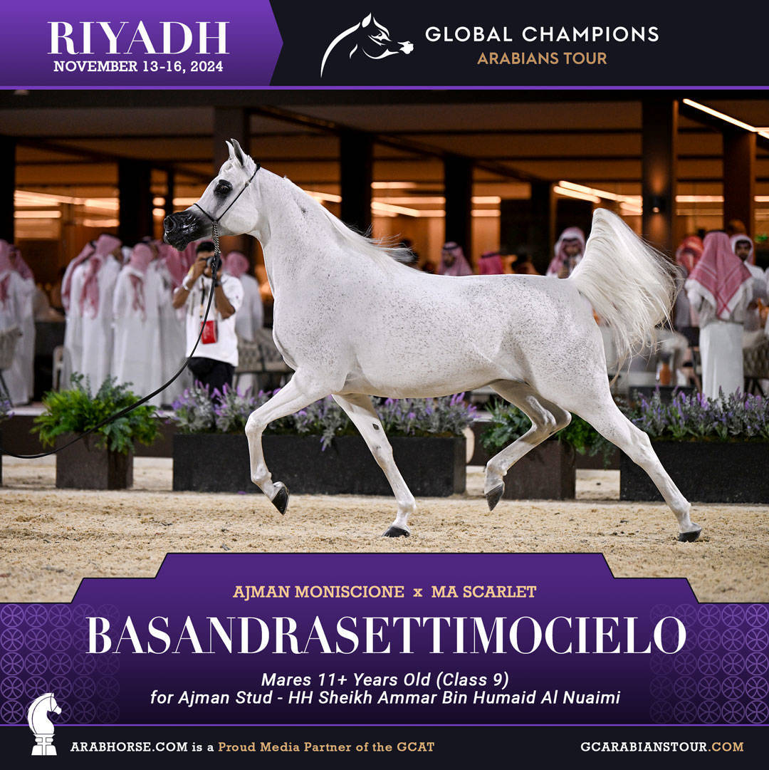 DAY 3: MARVELLOUS MARES AND STELLAR STALLIONS