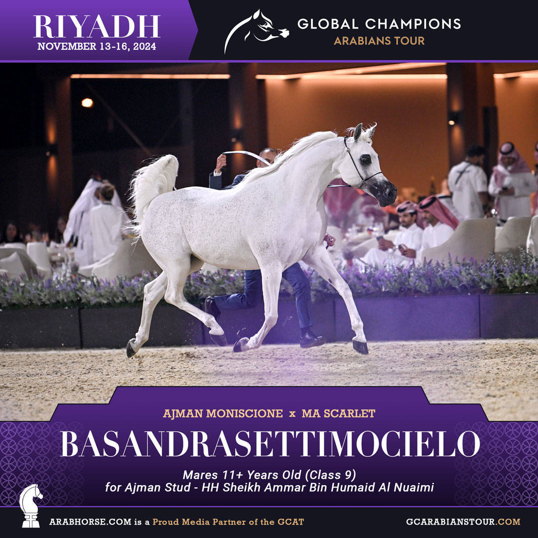 DAY 3: MARVELLOUS MARES AND STELLAR STALLIONS