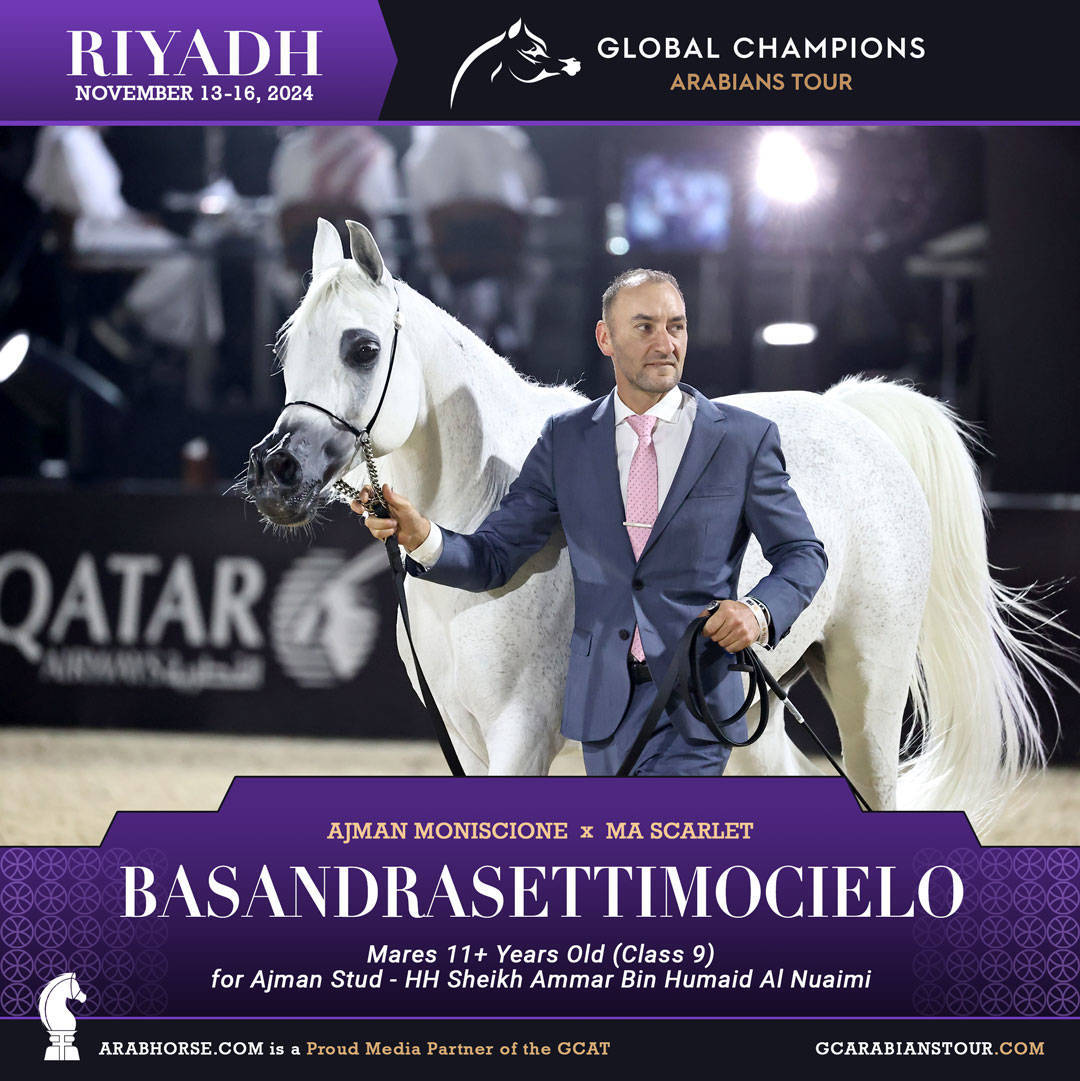 DAY 3: MARVELLOUS MARES AND STELLAR STALLIONS